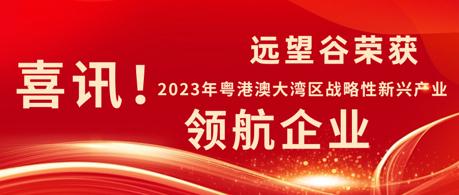 新年迎喜讯 | 球速体育荣获2023年粤港澳大湾区战略性新兴产业“领航企业”！